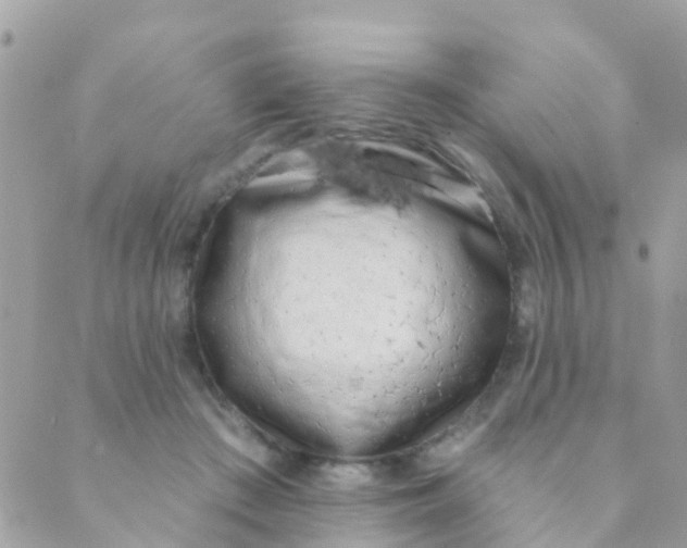 X0000089420409200707061324