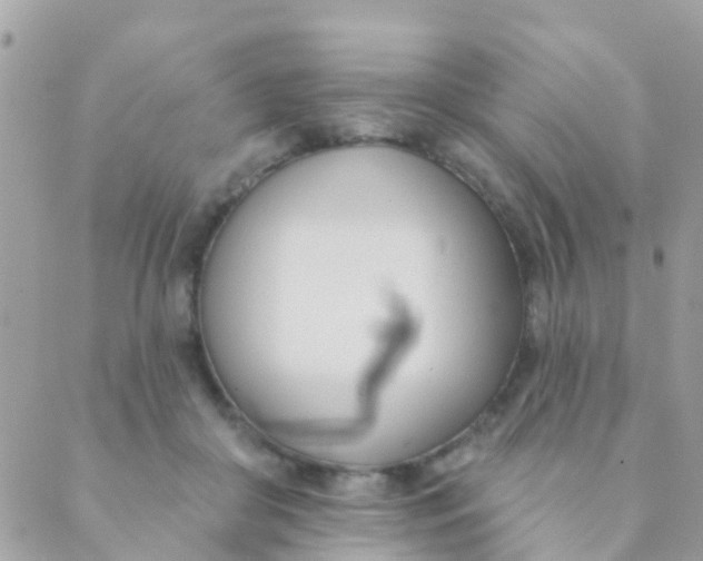 X0000089420410200707061324