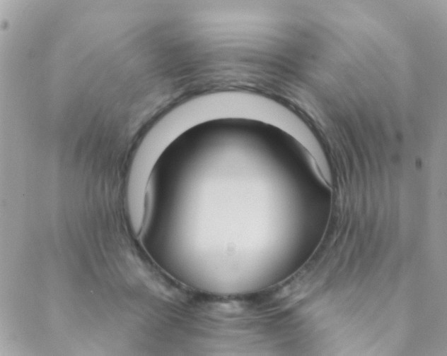 X0000089420411200707061324