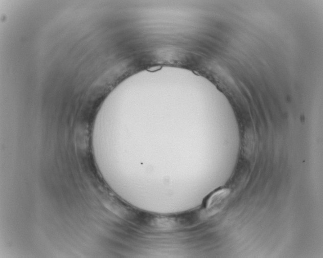 X0000089420413200707061324