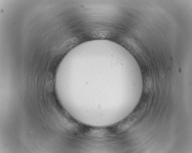 X0000089420414200707061324