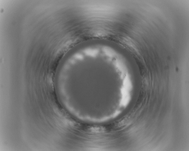 X0000089420415200707061323