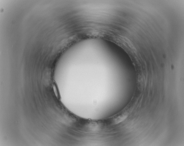 X0000089420416200707061323