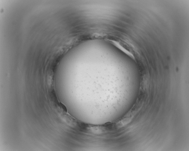 X0000089420417200707061323