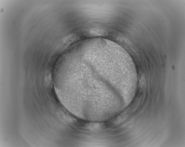 X0000089420418200707061323