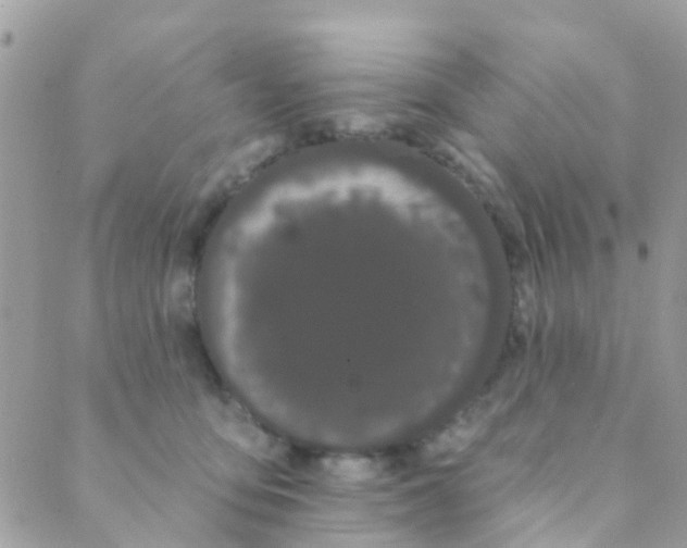 X0000089420419200707061323