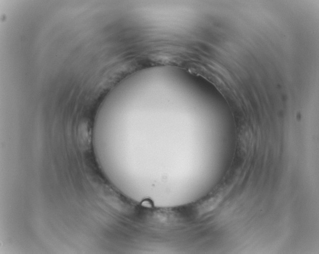 X0000089420420200707061323