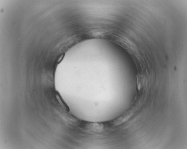 X0000089420421200707061323