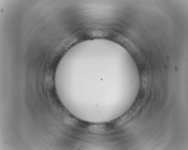 X0000089420422200707061323