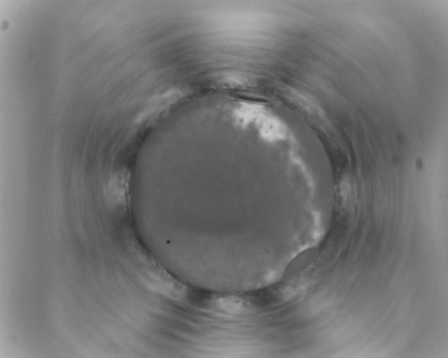 X0000089420423200707061323