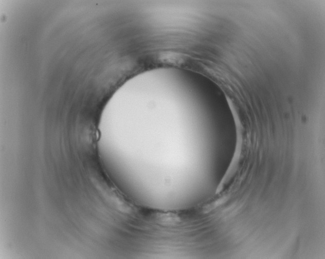 X0000089420424200707061323