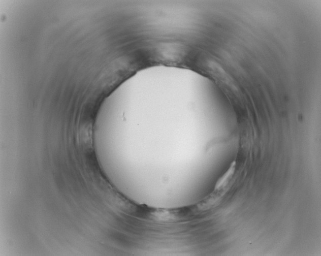 X0000089420425200707061323