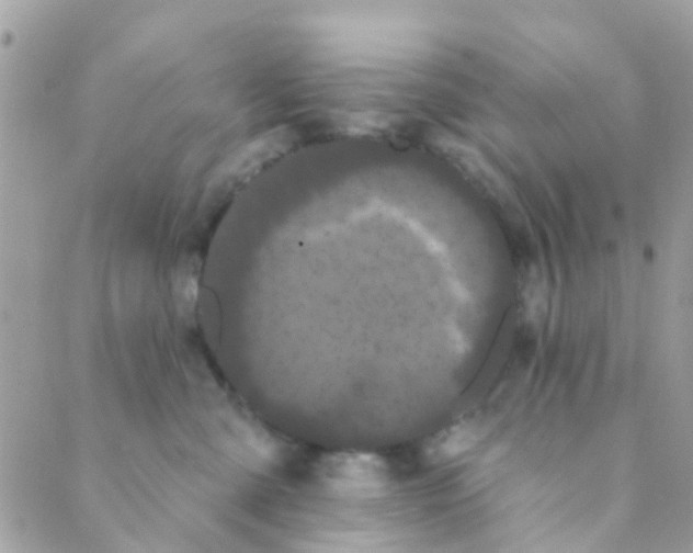 X0000089420427200707061323