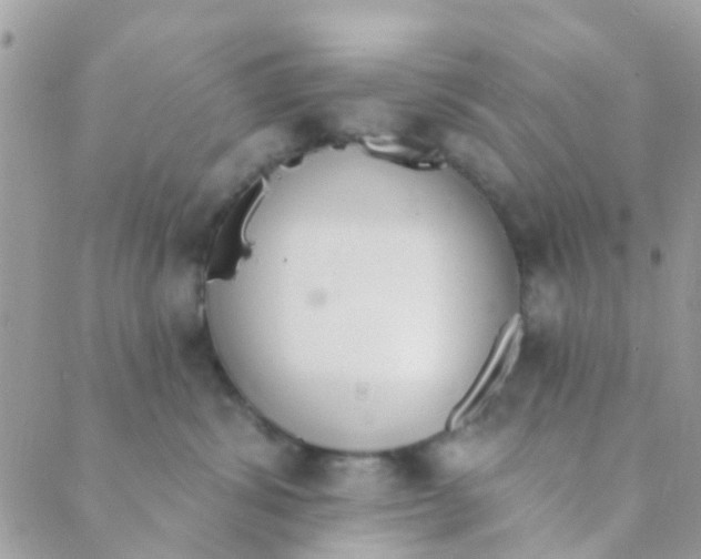 X0000089420428200707061323