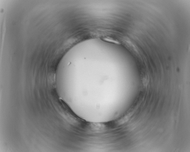 X0000089420429200707061323