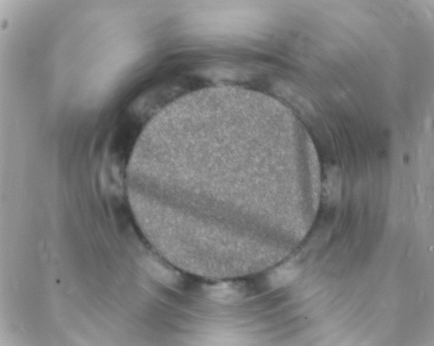 X0000089420430200707061323