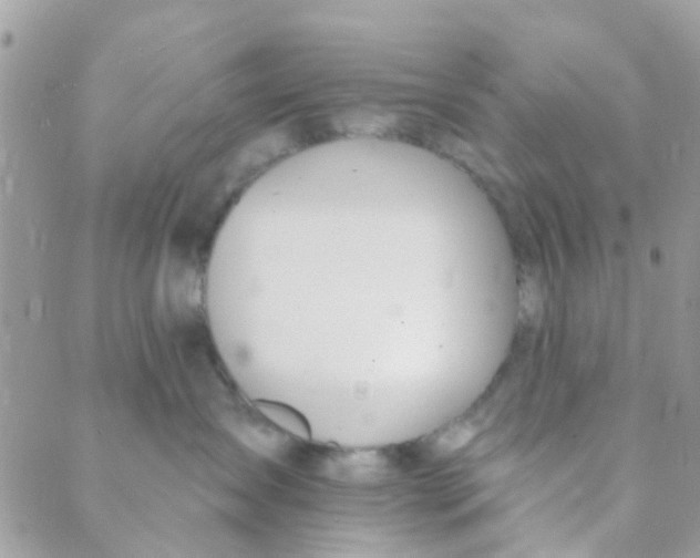 X0000089420431200707061323