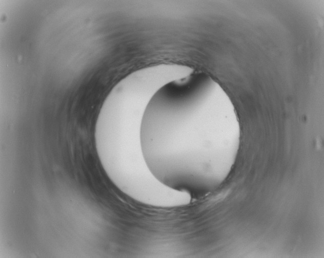 X0000089420432200707061323