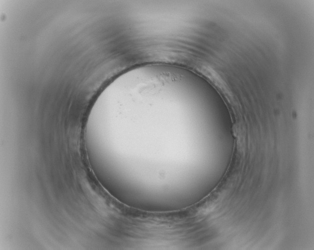 X0000089420434200707061322