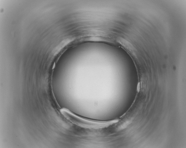 X0000089420436200707061322