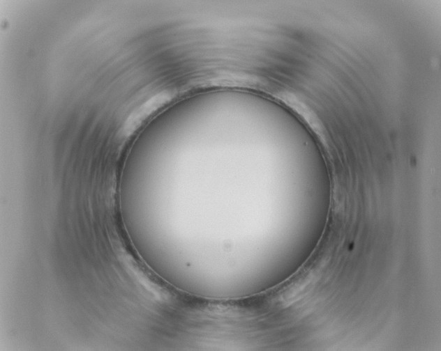 X0000089420437200707061323