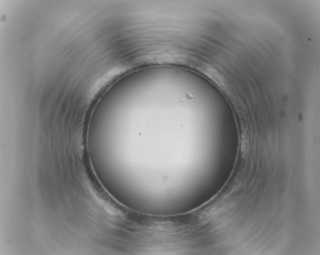 X0000089420438200707061323