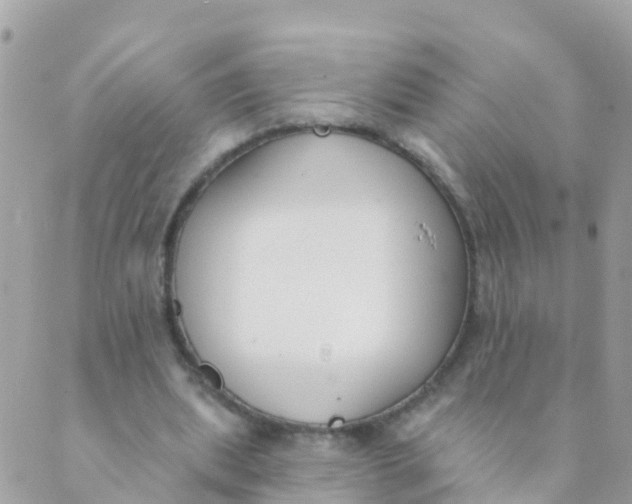 X0000089420439200707061323