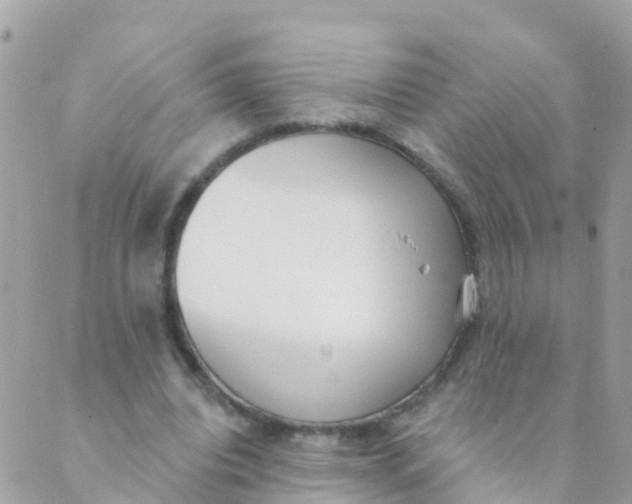 X0000089420440200707061323