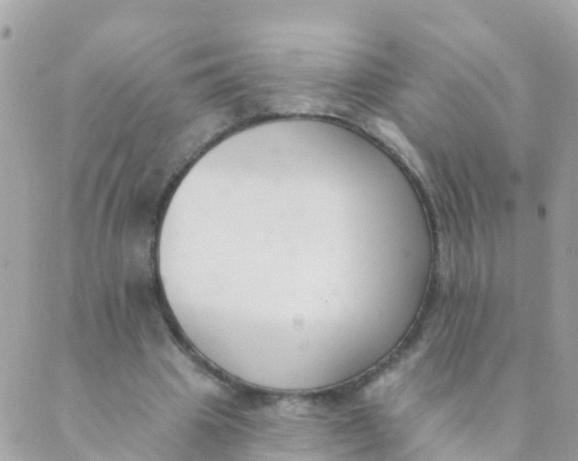 X0000089420441200707061323