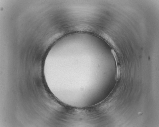 X0000089420442200707061323