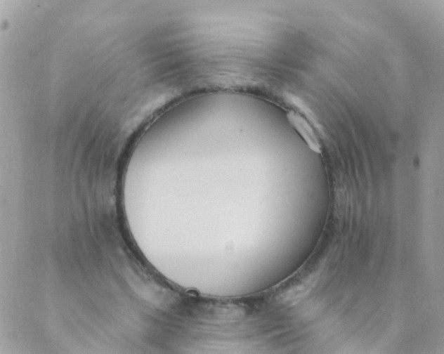 X0000089420443200707061323