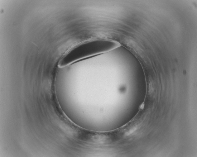 X0000089420444200707061323