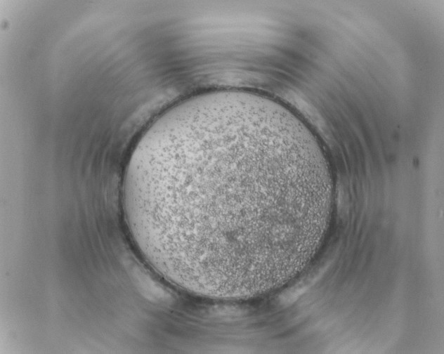 X0000089420445200707061323