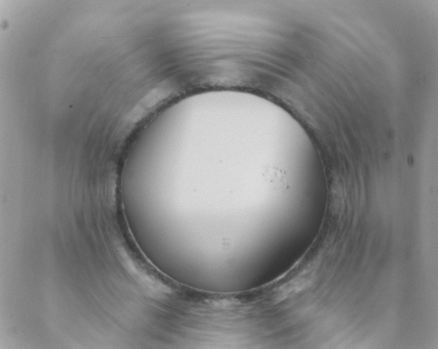 X0000089420446200707061323