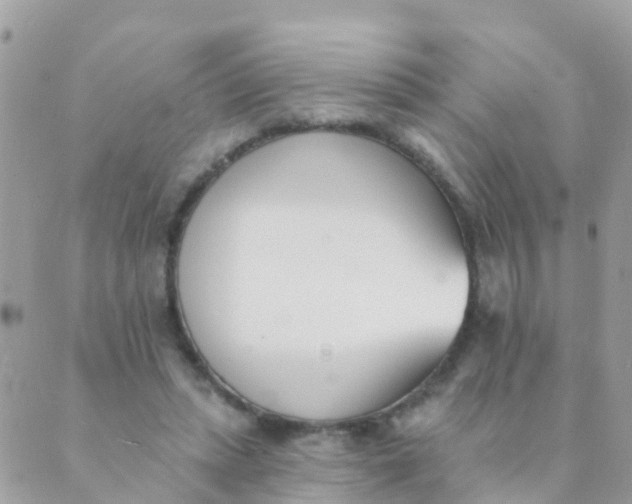 X0000089420447200707061323