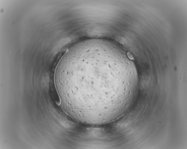 X0000089420448200707061323