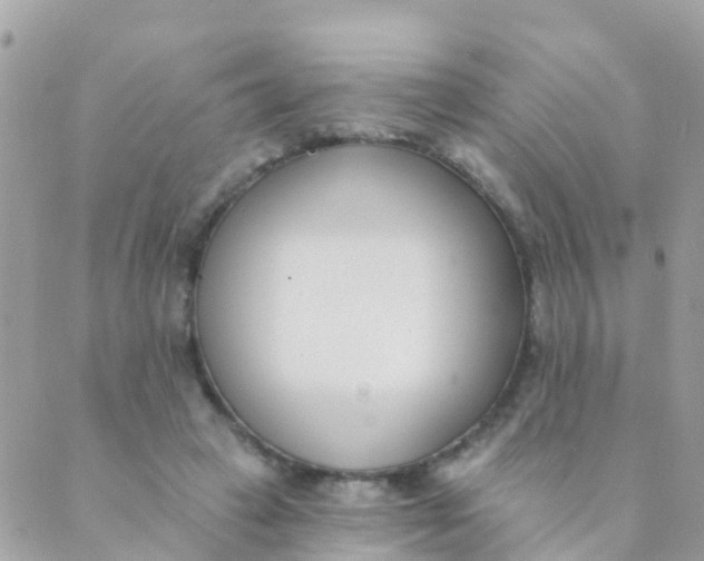 X0000089420449200707061323