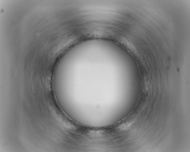 X0000089420450200707061323