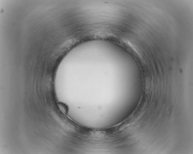 X0000089420451200707061323