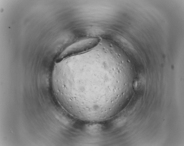 X0000089420452200707061323