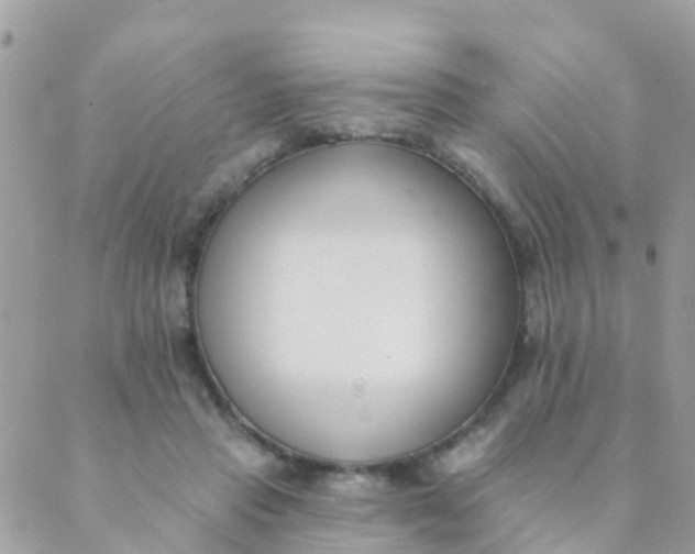 X0000089420453200707061323