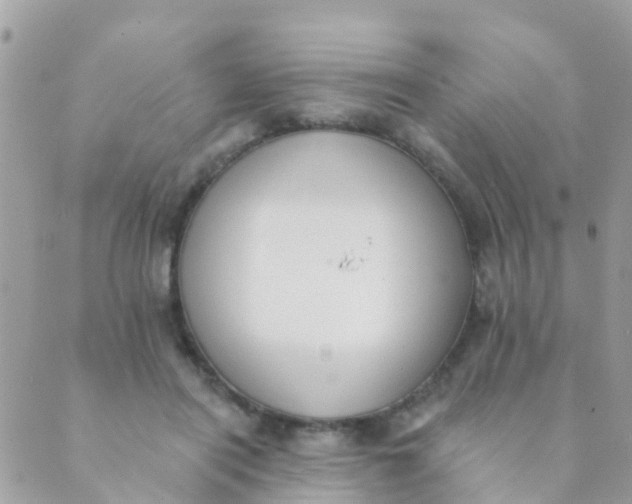 X0000089420454200707061323