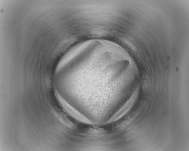 X0000089420455200707061323