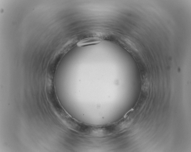 X0000089420456200707061323