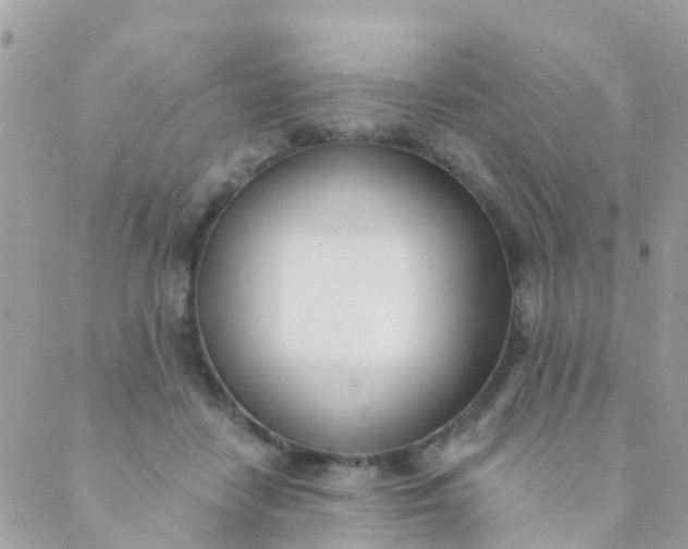 X0000089420458200707061323