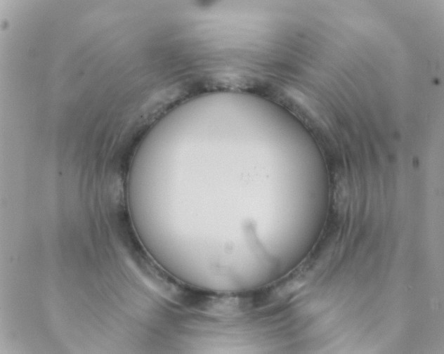 X0000089420459200707061323