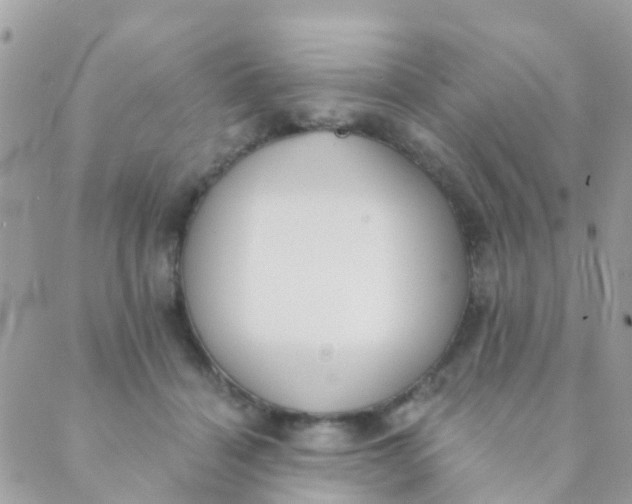 X0000089420460200707061323