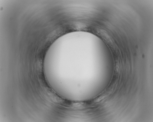 X0000089420461200707061323