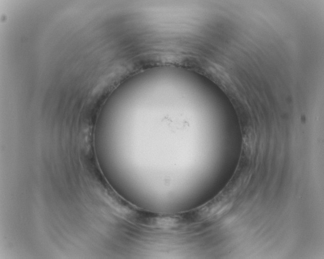 X0000089420462200707061323