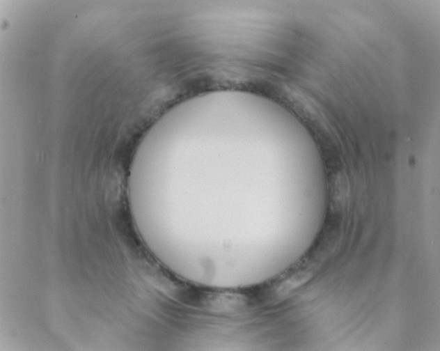 X0000089420463200707061323